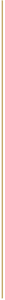 Vertical gold line design